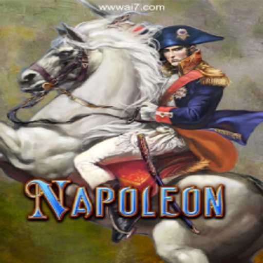 Mastering Napoleon: Strategies and Rules for Success